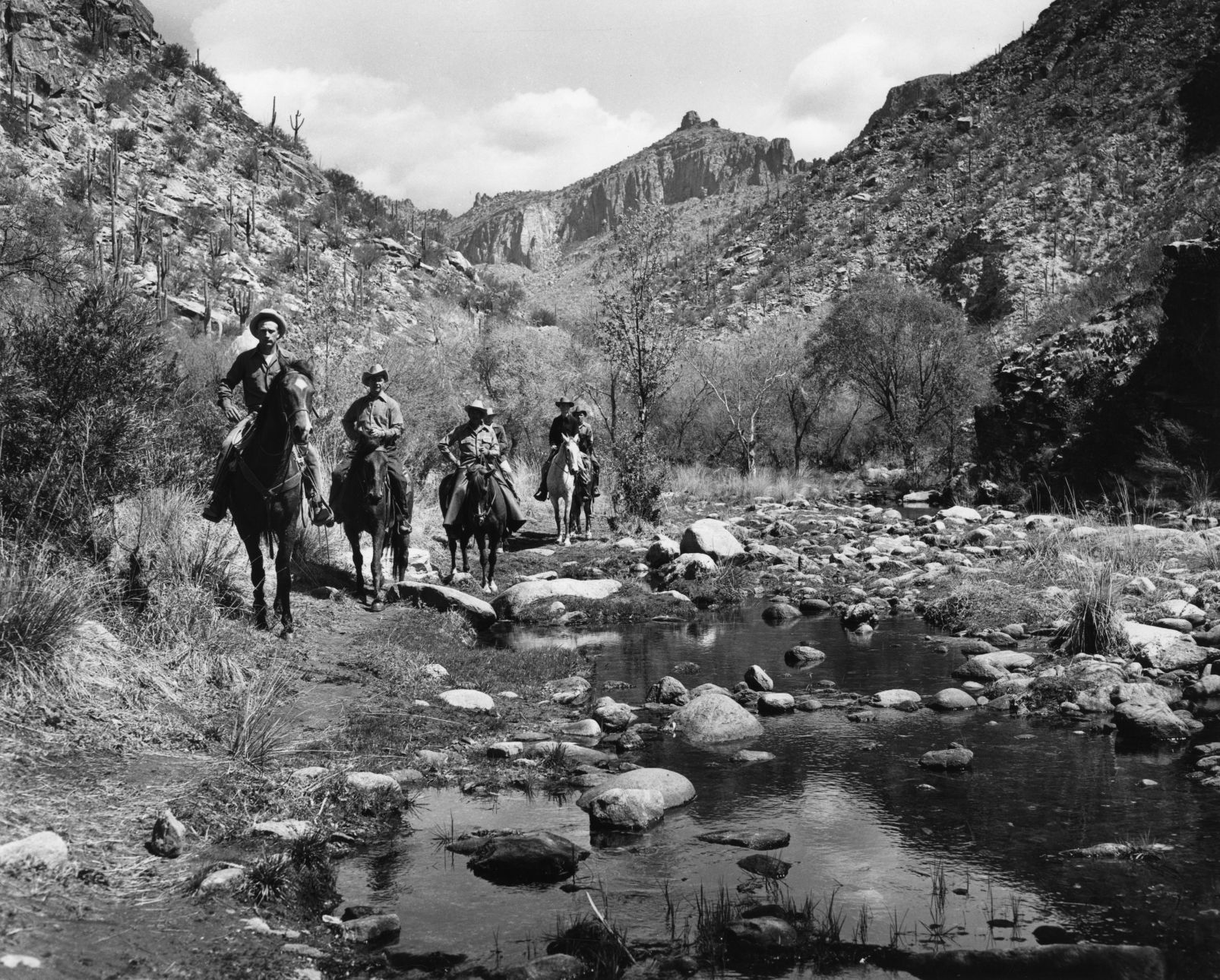 Sabino Canyon Recreation Area, Tucson